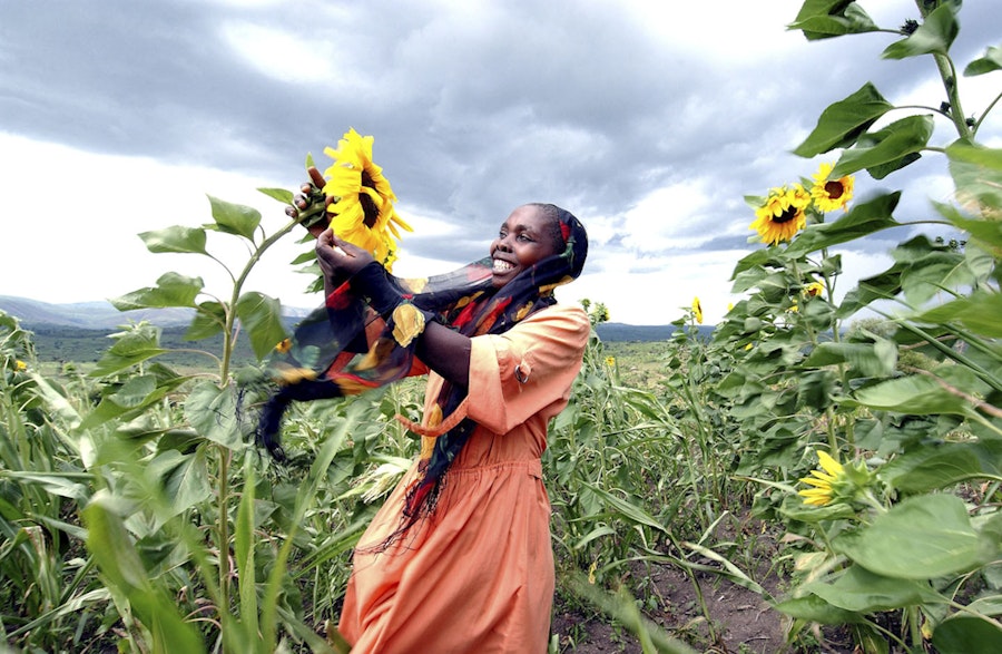 Photo a black lady in a sunflower field by John Ferguson
